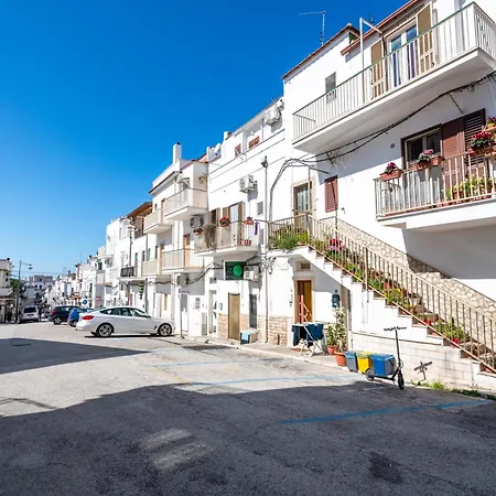 Minima بيت ضيافة بيسْكيتْشّي